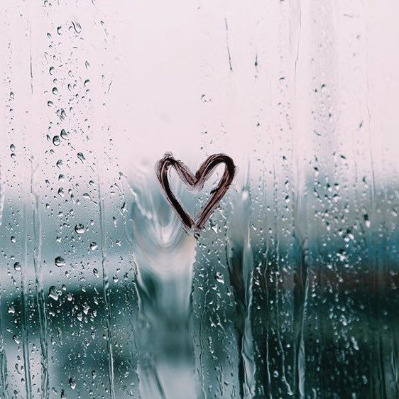 HNQ39119633's profile picture. 