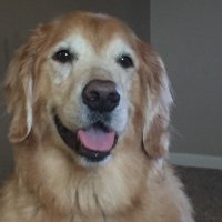 Sj (@pkrguy23) 's Twitter Profile
