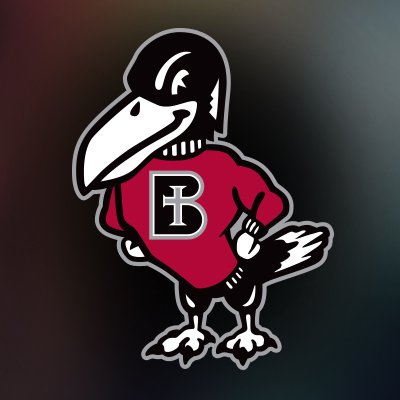 The official account for @BenedictineKS Athletics. Proud member of the @NAIA & @HeartSportsNews For Game Day coverage follow: @RavenGameDay