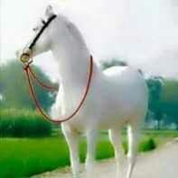 fatihgood1979's profile picture. فحل ‏سوداني💪 ‏‏‏‏‏احب الاصدقاء تابعني اتابعك