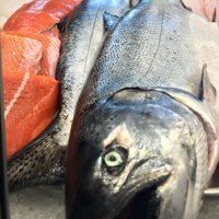 Local Ocean Seafoods (@localocean) 's Twitter Profile