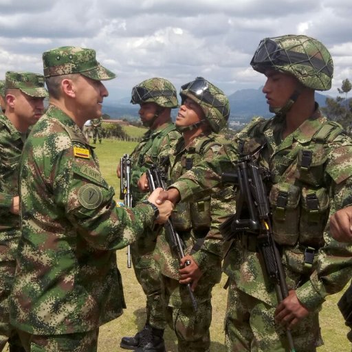 Mayor General del Ejército de Colombia, Comandante de la Quinta División con jurisdicción en Cundinamarca,Tolima, Huila, Quindío, Risaralda y Caldas