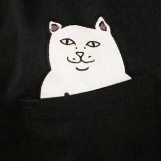 https://t.co/y9P4knD8xf - your shop for awesome kitty tee-shirts! Proceeds are donated to animal shelters Spread the kitty love. Meow!