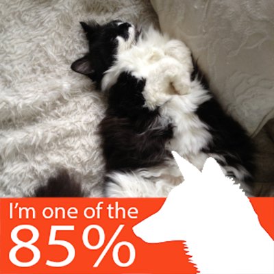 LilyRosePierre's profile picture. 