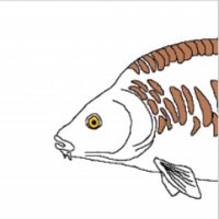 Bøwstring The Carp (@mattkearney92) 's Twitter Profile Photo Bøwstring The Carp (@mattkearney92) 's Twitter Profile Photo
