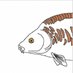 Profile Picture of Bøwstring The Carp (@MattKearney92) on Twitter