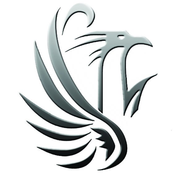 Silver_Tax's profile picture. 