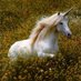 Lilian Villa (@driana1951) Twitter profile photo Lilian Villa (@driana1951) Twitter profile photo