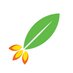 Rocket Seeder (@rocketseeder) Twitter profile photo Rocket Seeder (@rocketseeder) Twitter profile photo