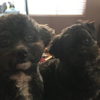 Nicole Jack (@ncljack) 's Twitter Profile Photo