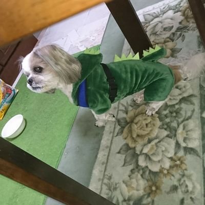 sekainotomo44's profile picture. ニッチ市場の経営者です。