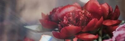 Wejiv9lftOnPsro's profile picture. 