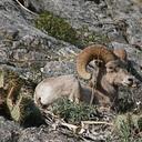 Leland Raymond III - @wwwgncorg - Twitter