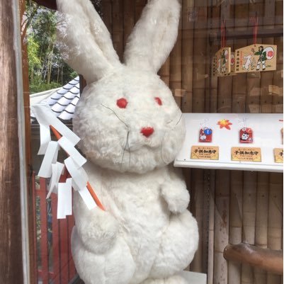 ObYVKVkaMtPX5Of's profile picture. 没事