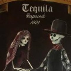 I am a Venezuelan American painter, illustrator, and designer. I love art in all its forms, especially folk and naive art.