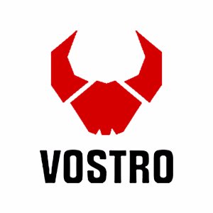 @BrandVostro