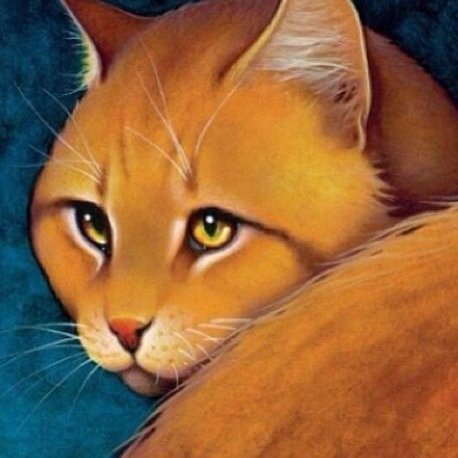 BroLionblaze's profile picture. OG | Macho Man of Thunderclan | Bi | He/him | Best dad of Fernsong, Hollytuft, Sorrelstripe, Spotfur, Flywhisker, and Snaptooth | Spitting fire and blazing🔥