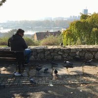 Mehmet (@mehmetto_) Twitter profile photo