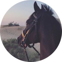 MⓂ️ (@mh00sh_2099) 's Twitter Profile