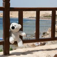 احمدسالم (@ahmedsaaaleeem) 's Twitter Profile