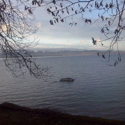 danyfred7412's profile picture. 