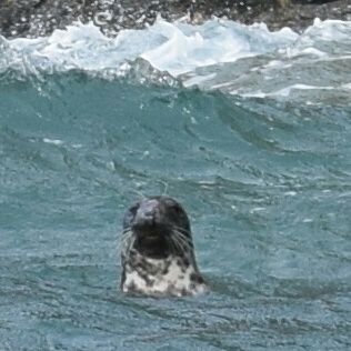 MartinSaunders5's profile picture. Promoting appreciation and care of heritage; enjoying history, music, landscape, design, creativity and wildlife .All views mine alone.