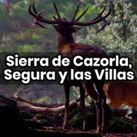 PN Sierra de Cazorla (@pnsierracazorla) 's Twitter Profile