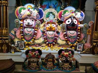 Krishnavikash_'s profile picture. 