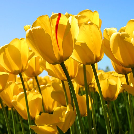 GaneshKannaJ's profile picture. 