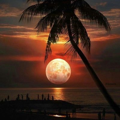 1cYiNrtKHdMdYKU's profile picture. 