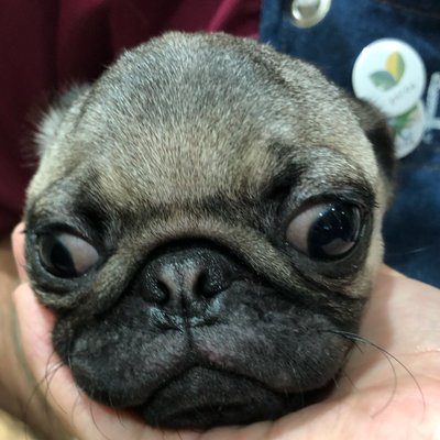 生まれ変わります この保育園めっちゃ豪邸 ローファーで超走って21秒くらいの敷地がある まぢですんごい 美ら夢保育園 生まれ変わります この保育園めっちゃ豪邸 ローファーで超走って21秒くらいの敷地がある まぢですんごい 美ら夢保育園