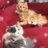 はるるかのアイコン