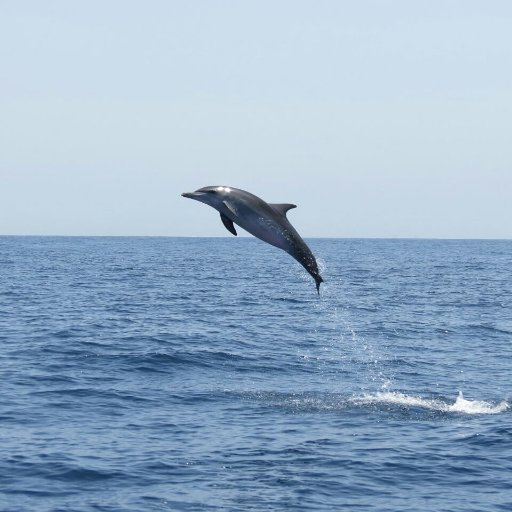 amonti54's profile picture. 