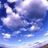 Sho_aka_No40's profile image