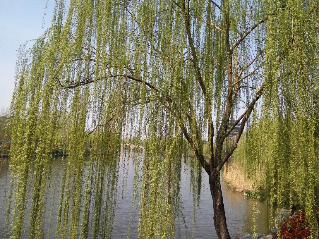 yuguangshise05's profile picture. doctor of oncology department（肿瘤科小大夫一枚）
