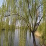 yuguangshise05's profile picture. doctor of oncology department（肿瘤科小大夫一枚）