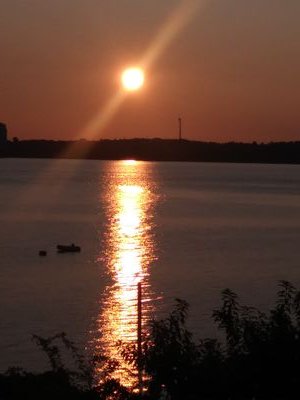 lbello822's profile picture. I live every moment and love with all my heart!❤