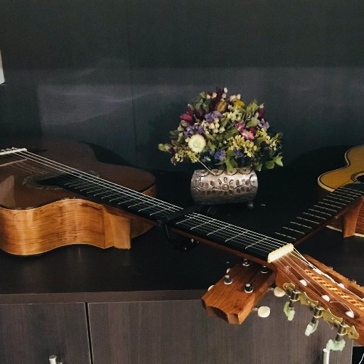 charrogalvan's profile picture. La charreria es el deporte oficial Mexicano por exelencia, y eso es mi pasion