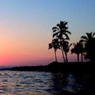 annamaries99's profile picture. @annamaries99 IB