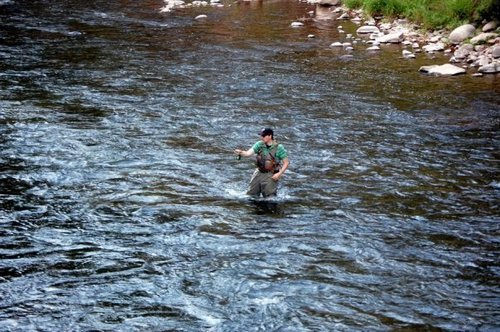 Fly Fishing Junkie