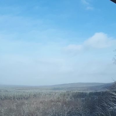 RedmoonRR4's profile picture.