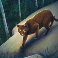 Windstar (@speedywindstar) 's Twitter Profile
