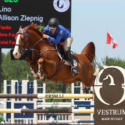 professional equestrian show jumper. owner operator senior living residences