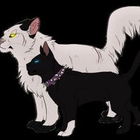Scourge (@slicyboy64) 's Twitter Profile