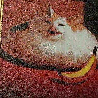 NetneutralityI's profile picture. 