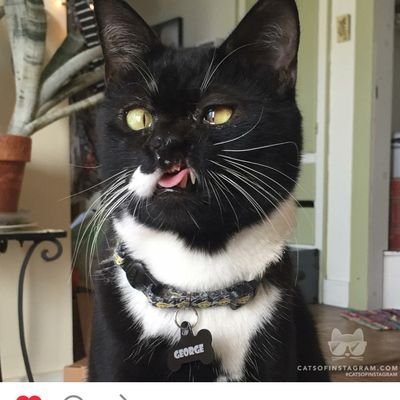 wiseman_kathryn's profile picture. Student.😴 Writer.🙃 Fangirl.🤓 Friend.🤗