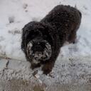 Gareth Johnston - @garethjohnston - Twitter