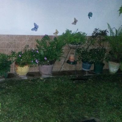 JannelleLG's profile picture. 