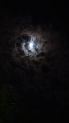 India49154262's profile picture. 