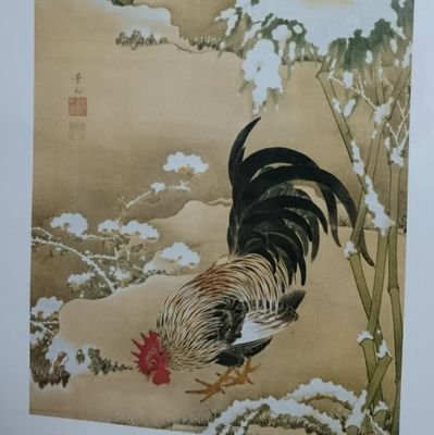 Numa_lens's profile picture. 